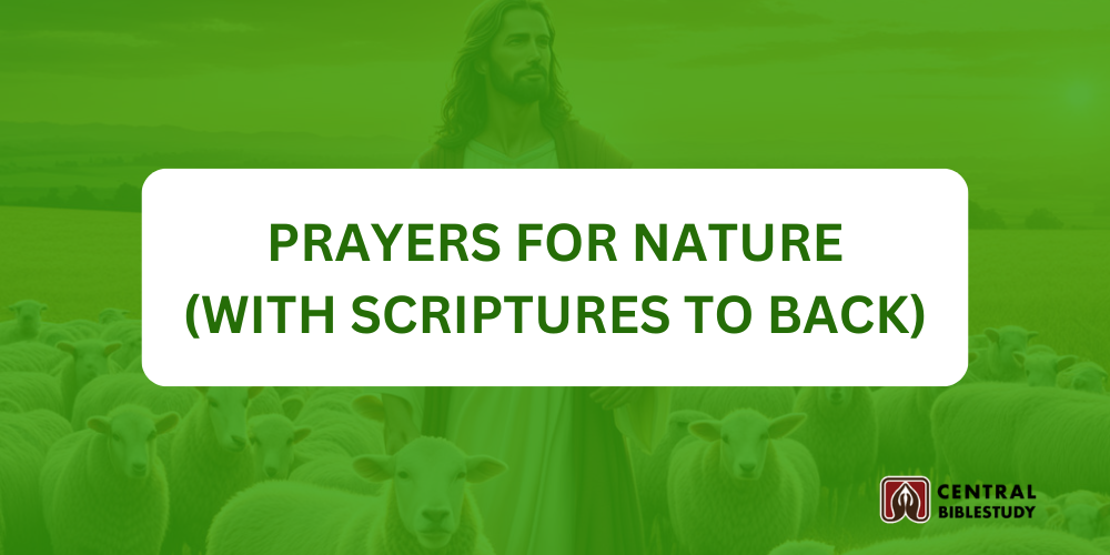 30 Prayers For Nature With Scriptures to Back - CentralBibleStudy